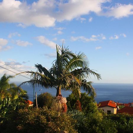 Ferienwohnung Lugar Dos Louros 2 Estreito Da Calheta Exterior foto